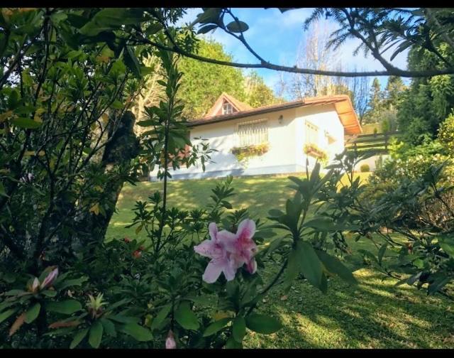 Villa Chale Aconchegante Monte Verde  Exterior foto